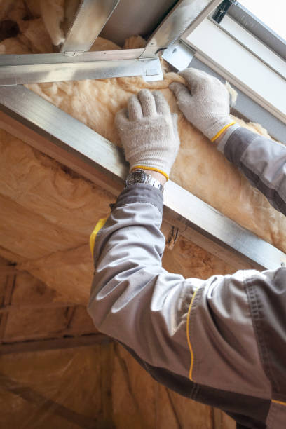 Best Insulation Installation Services in Sanborn, IA