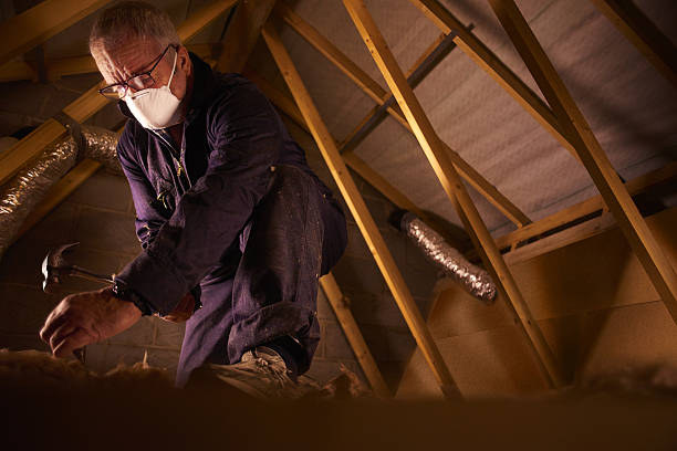 Best Types of Insulation in Sanborn, IA
